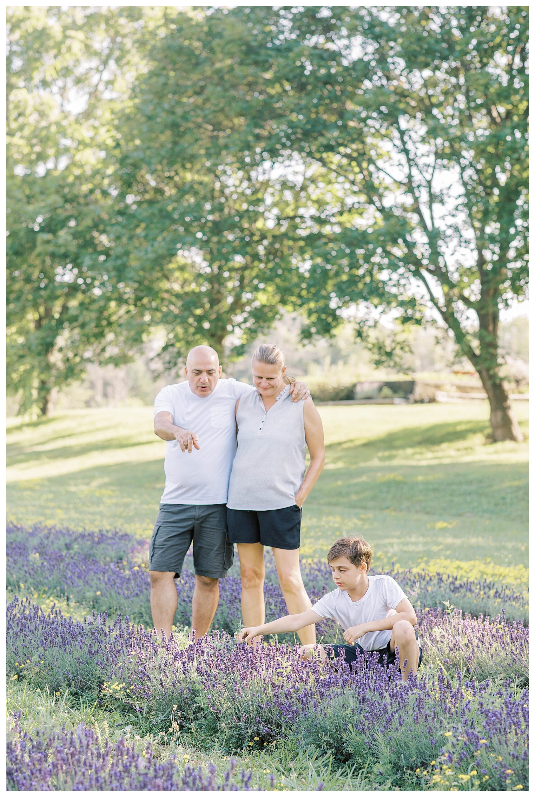 lavender family session